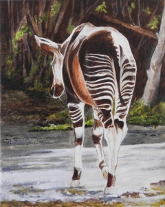 Ambling Okapi