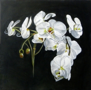 White Orchids II
