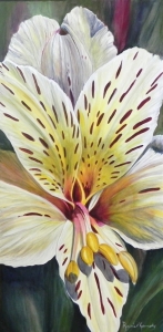 Astromeria Lily